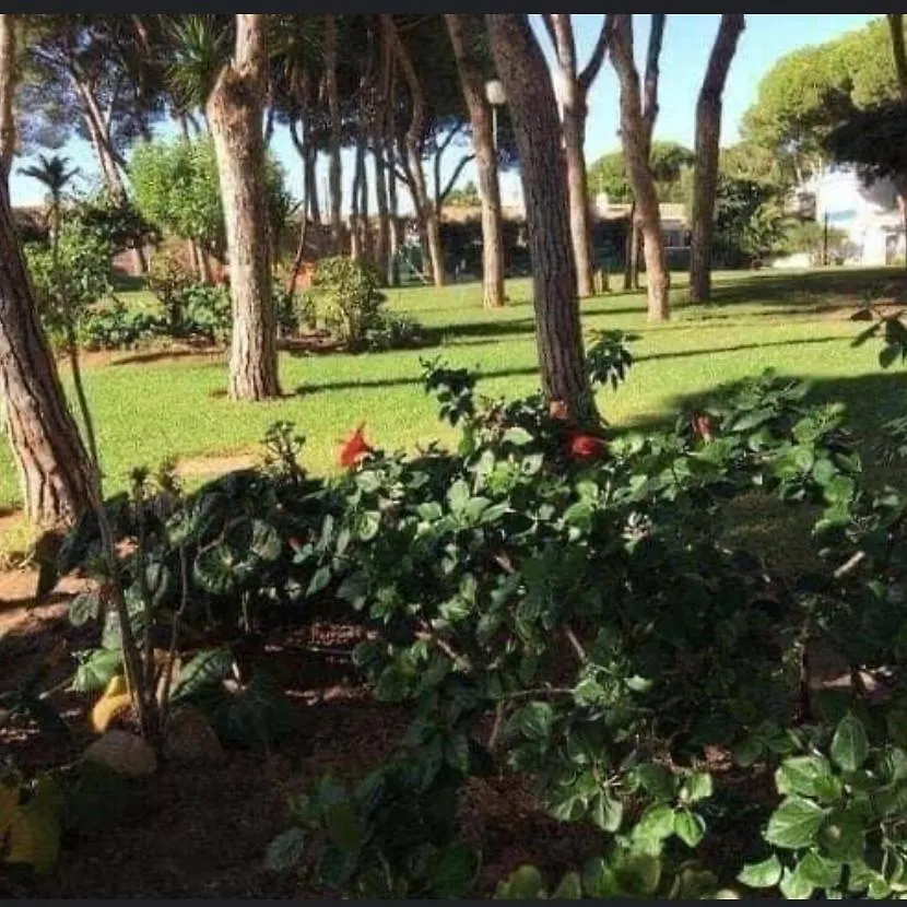 Apartamento Calypso Apartamento Sitio de Calahonda 0*,